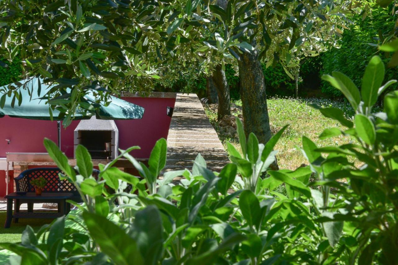 B&B Villa Passero Torricella Sicura Exterior foto